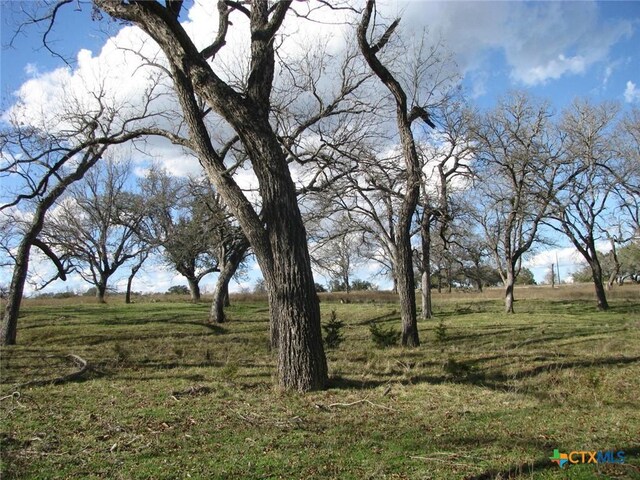 1296 Buffalo Creek Dr, Evant, TX 76525 - photo 13