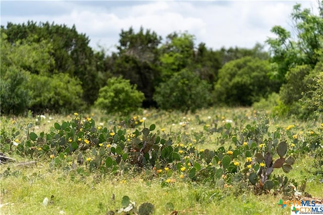 Listing photo 3 for 12307 Crows Ranch Rd, Salado TX 76571