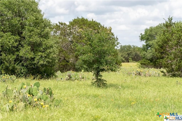 Listing photo 2 for 12307 Crows Ranch Rd, Salado TX 76571