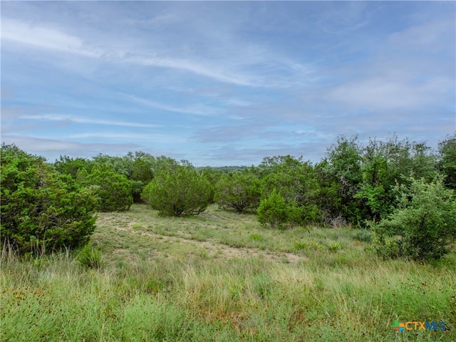 206 Vista View Pl, Spring Branch, TX 78070