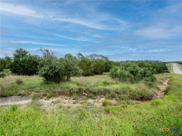 206 Vista View Pl, Spring Branch, TX 78070