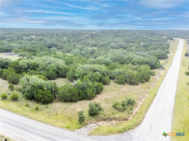206 Vista View Pl, Spring Branch, TX 78070