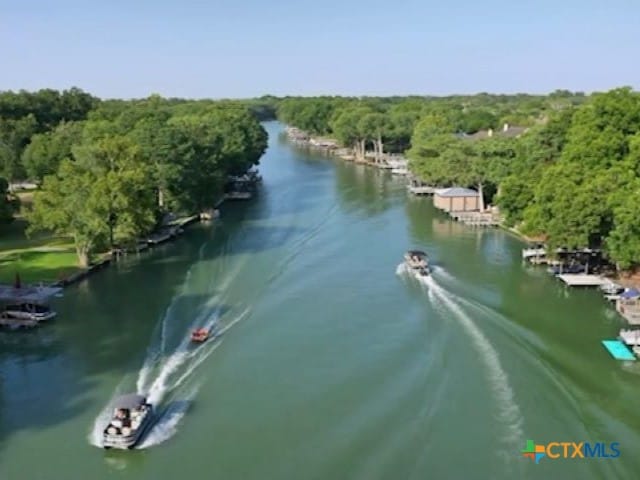 aerial view featuring a forest view and a water view