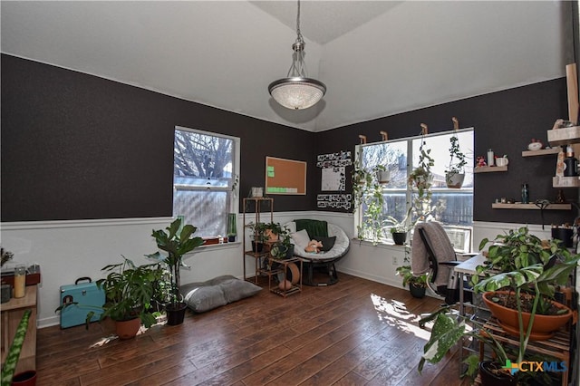 interior space featuring dark wood-style floors, vaulted ceiling, and a healthy amount of sunlight