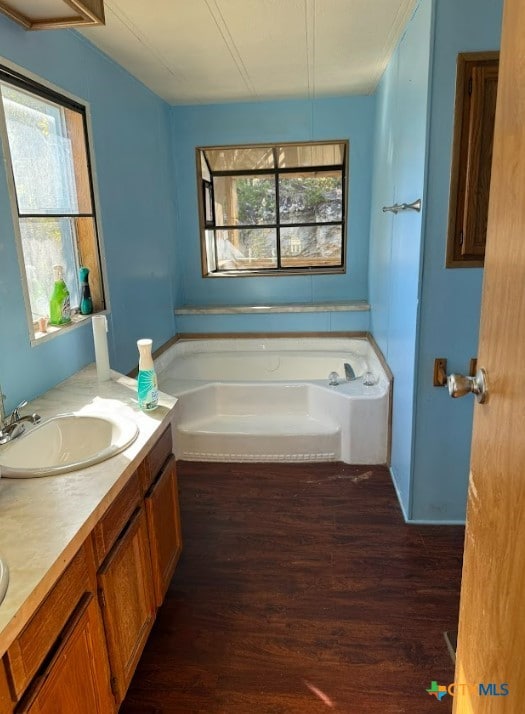 bathroom featuring plenty of natural light, vanity, wood-type flooring, and a tub