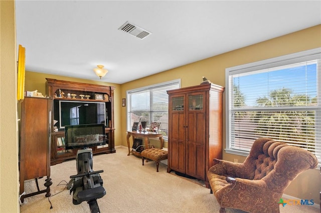 204 Edgewater, Victoria, TX 77904 - living area featuring carpet floors
