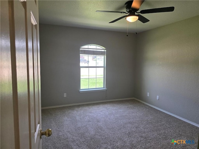 2803 Lindsey Dr, Copperas Cove, TX 76522 - carpeted empty room with a ceiling fan and baseboards