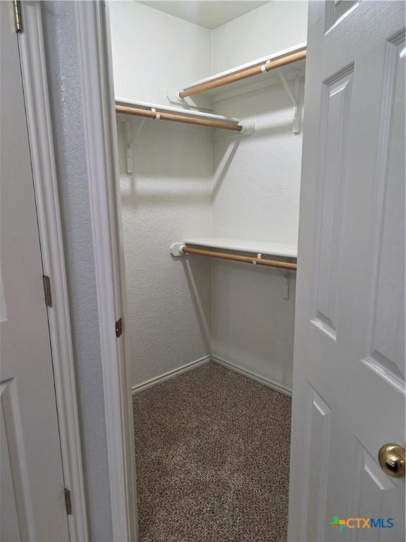 2803 Lindsey Dr, Copperas Cove, TX 76522 - walk in closet with carpet flooring