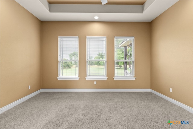 carpeted spare room with a raised ceiling