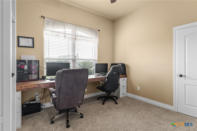 office featuring light carpet