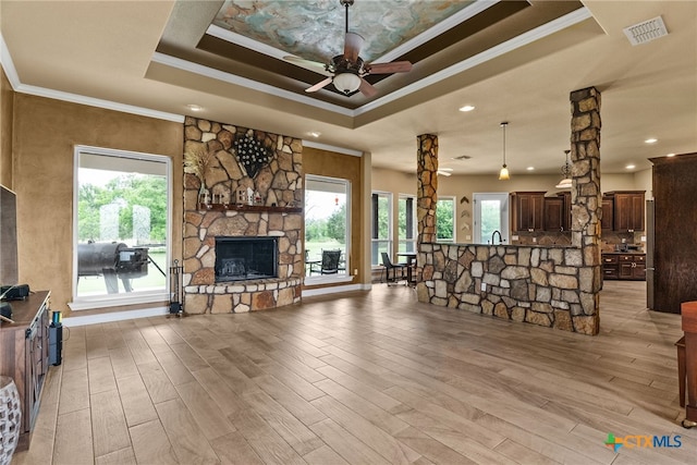 living room featuring a wealth of natural light, a raised ceiling, and light wood-type flooring