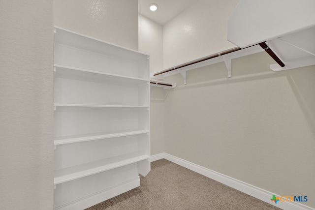 spacious closet featuring carpet