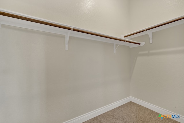 spacious closet with carpet flooring