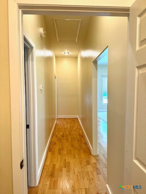 hall with light hardwood / wood-style flooring