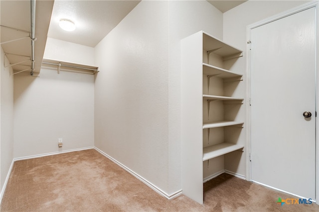 spacious closet with light carpet