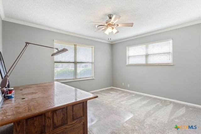 home office with a ceiling fan, carpet floors, and ornamental molding