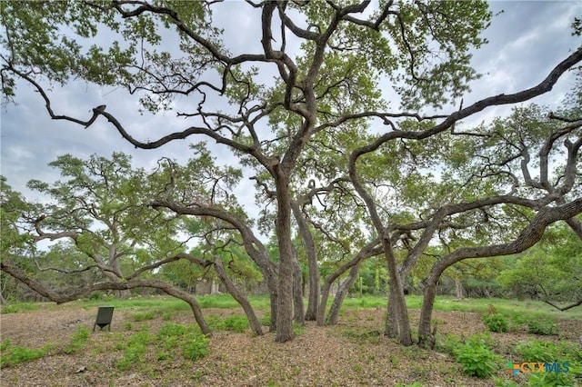 view of nature