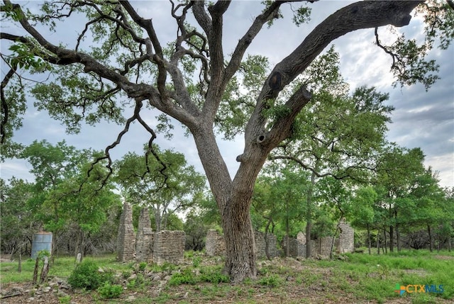 view of nature