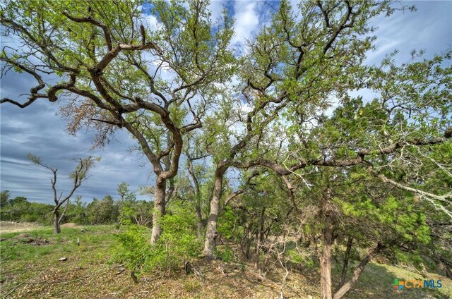 view of nature