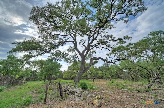 view of landscape