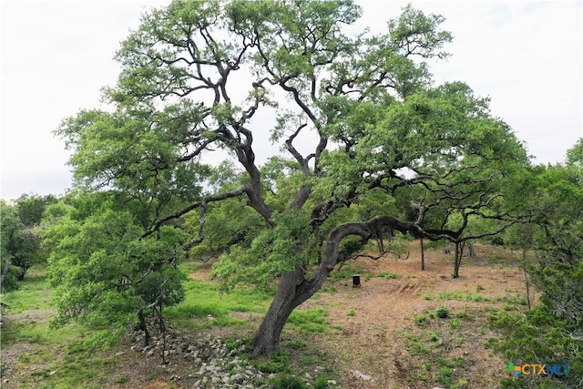 view of landscape