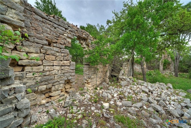 view of local wilderness