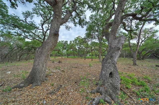 view of landscape