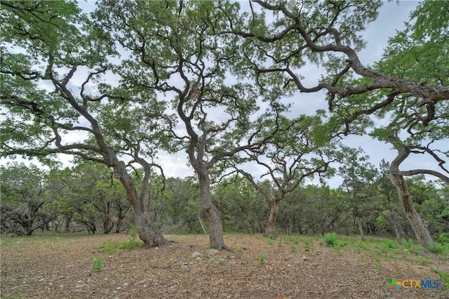 view of nature