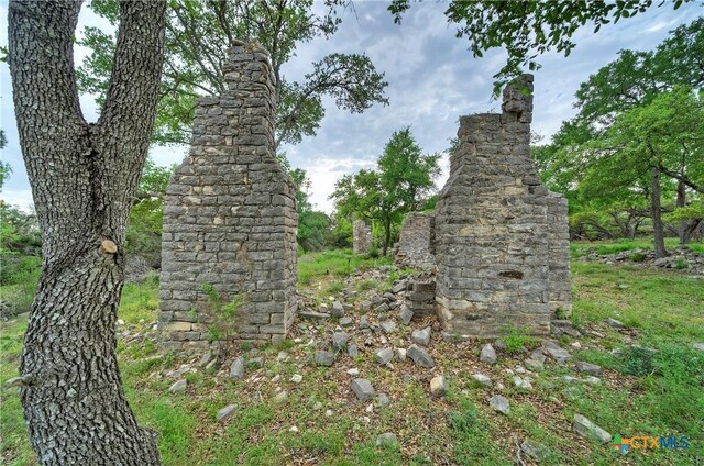 view of local wilderness