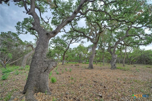 view of nature