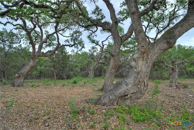 view of nature