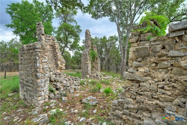 view of local wilderness