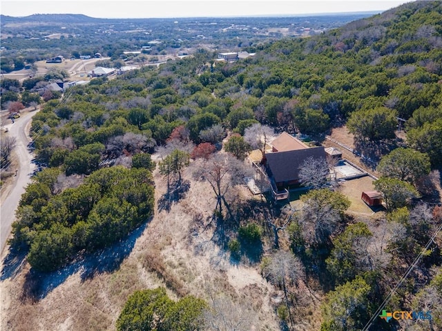 bird's eye view with a forest view