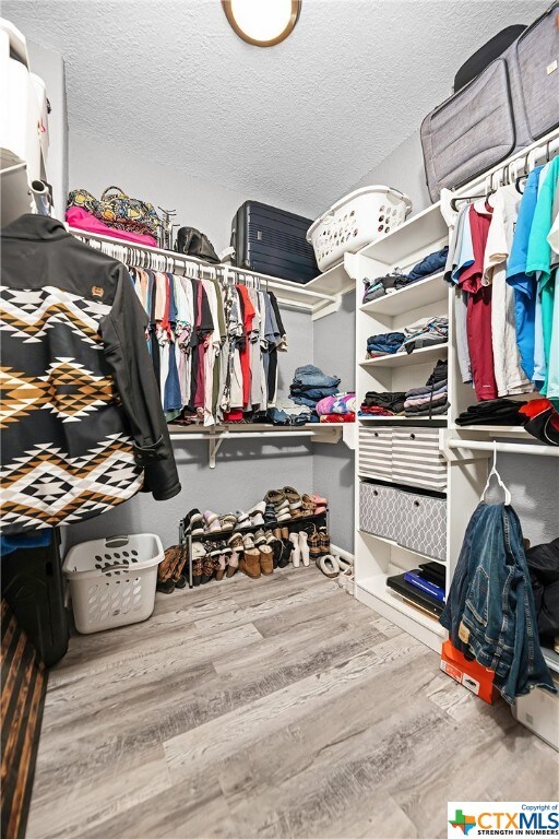 spacious closet with hardwood / wood-style flooring