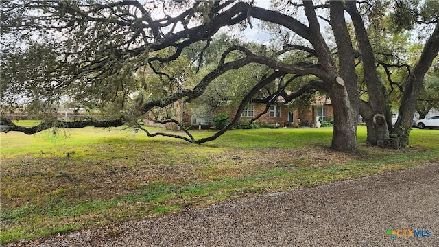 view of property's community with a yard