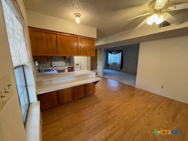 kitchen featuring a textured ceiling, sink, light hardwood / wood-style floors, white stove, and ceiling fan