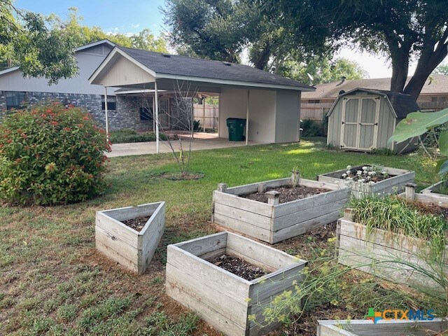 view of yard with a patio and a storage unit