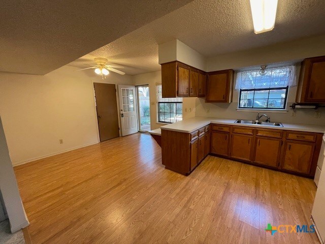 kitchen featuring light hardwood / wood-style floors, plenty of natural light, sink, and kitchen peninsula