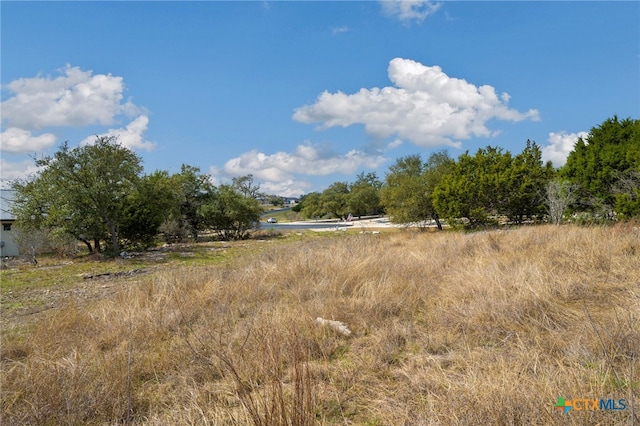 1032 Riesling, New Braunfels, TX 78132 - photo 6