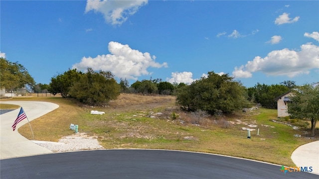 1032 Riesling, New Braunfels, TX 78132 - photo 2