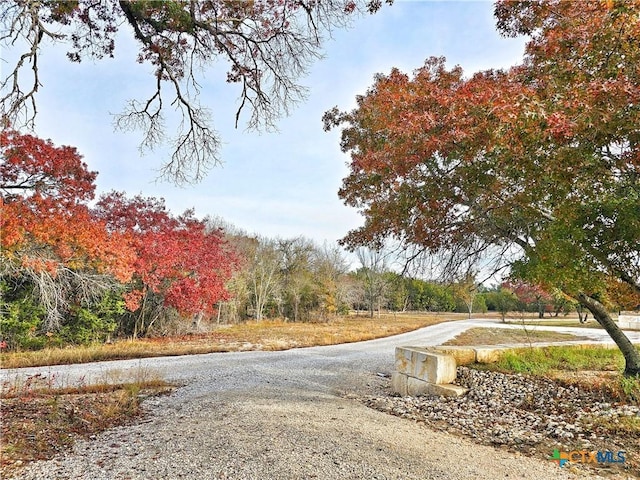 view of road