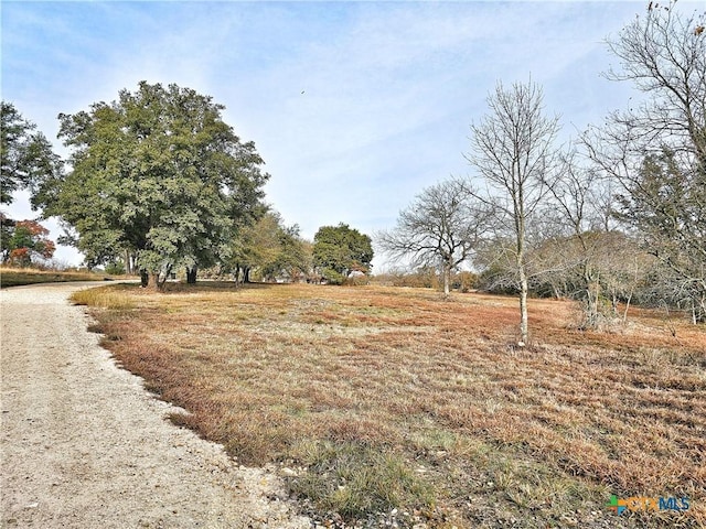 view of yard with a rural view