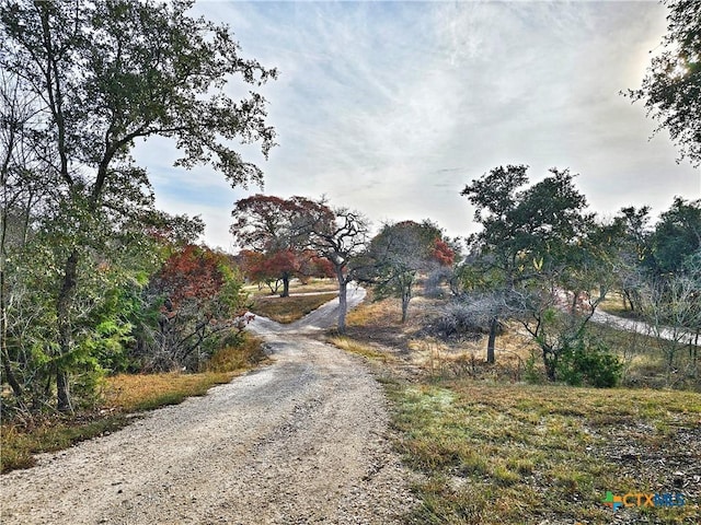 view of road