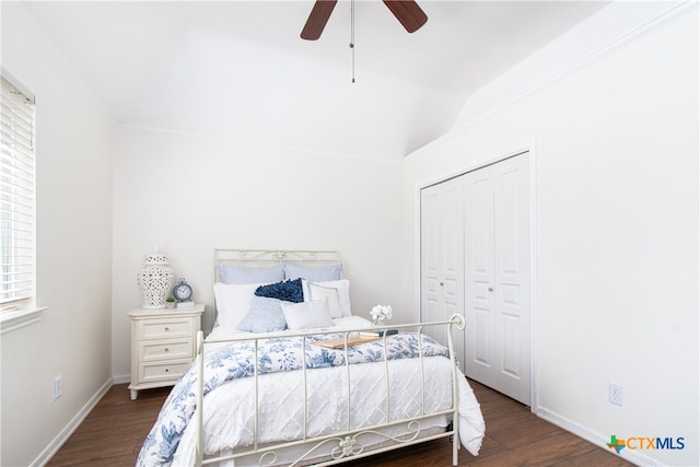 bedroom featuring multiple windows, ceiling fan, dark hardwood / wood-style floors, and a closet