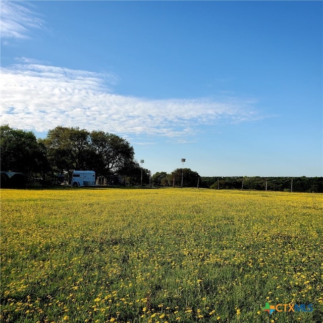 view of yard with a rural view