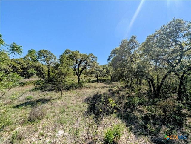 4770 Fm 2808, Kempner, TX 76539 - view of nature