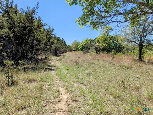 4770 Fm 2808, Kempner, TX 76539 - view of local wilderness