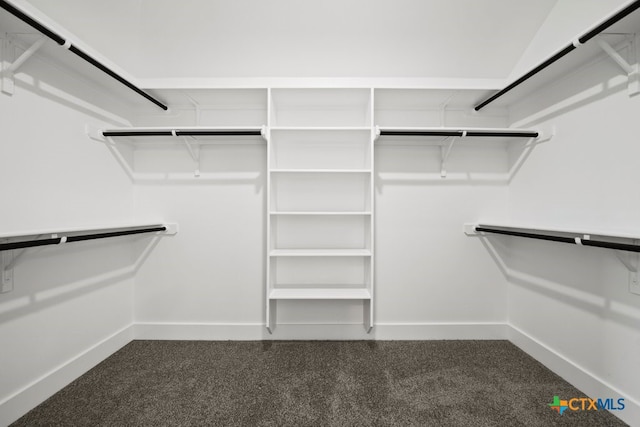 spacious closet with dark carpet