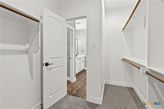 spacious closet with visible vents, dark colored carpet, and a sink