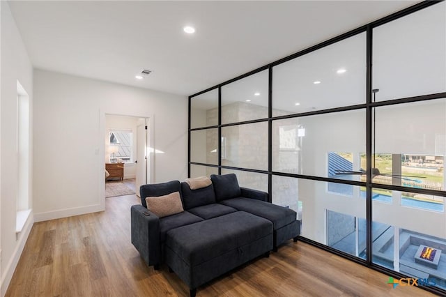 living room featuring wood-type flooring and a healthy amount of sunlight